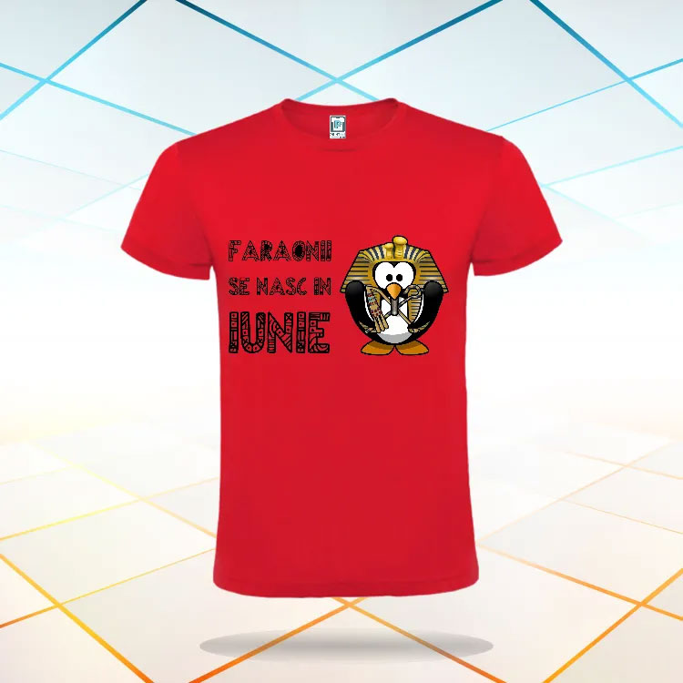 Tricou bărbat - FARAONII SE NASC IUNIE - imagine 6