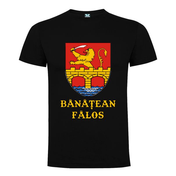 Tricou bărbat - Stema Banatului - imagine 5