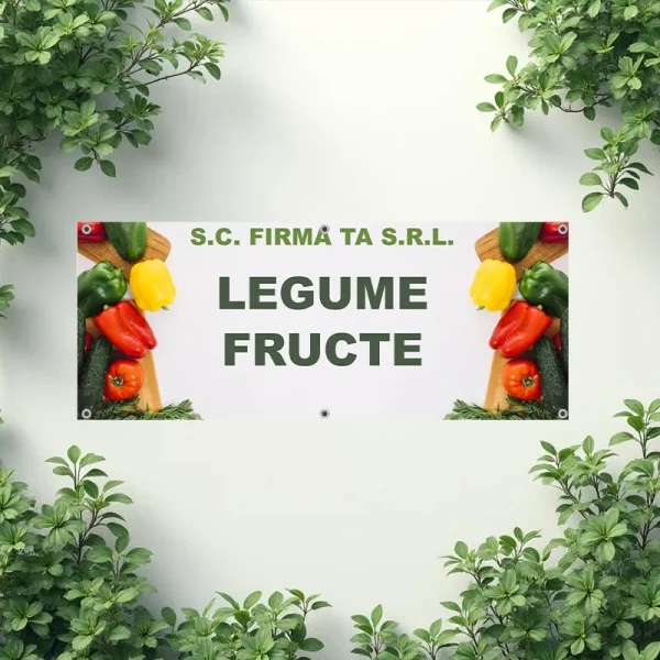 Banner Legume Fructe