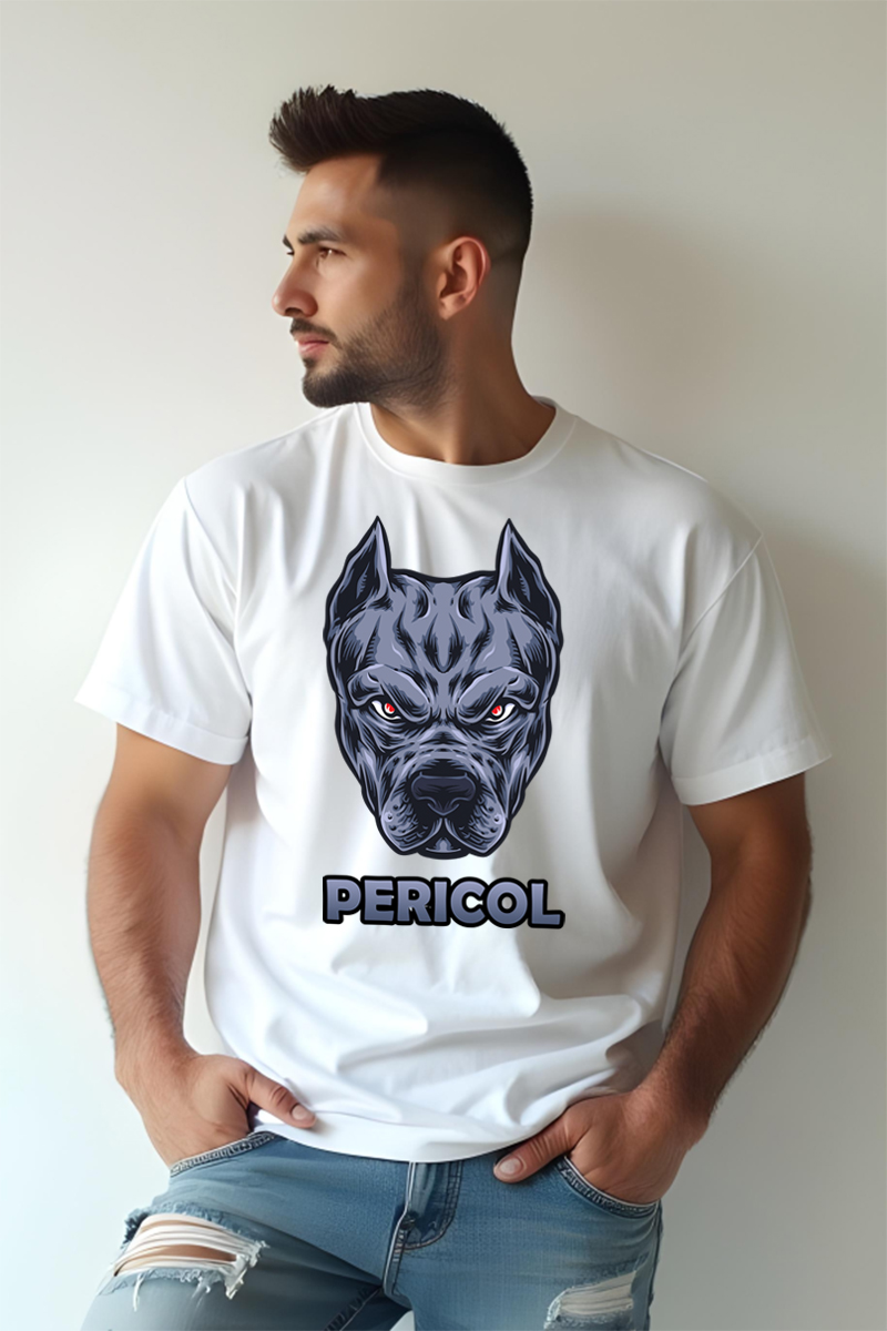 Tricou Oversize - Fecioara cu Prunc - imagine 11