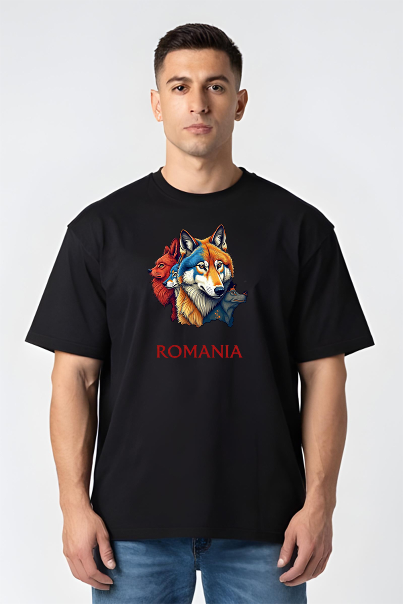 Tricou Oversize - Romania - imagine 5