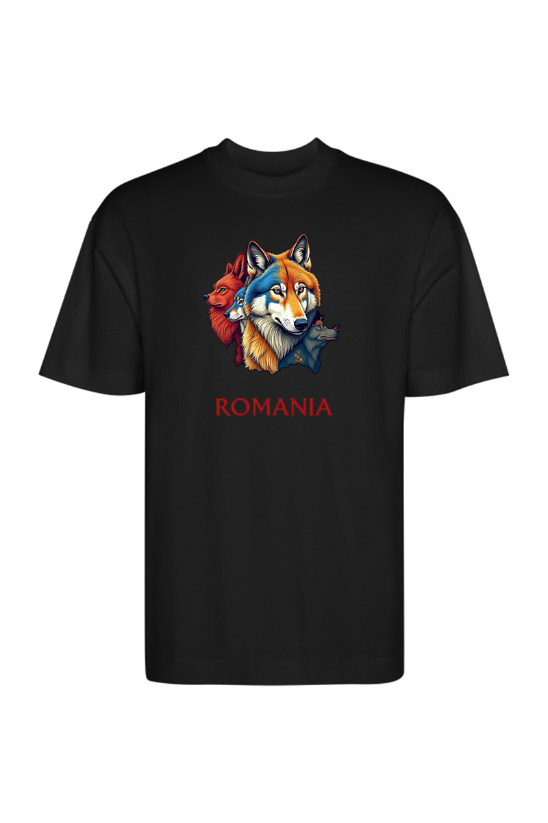 Tricou Oversize - Romania - imagine 6