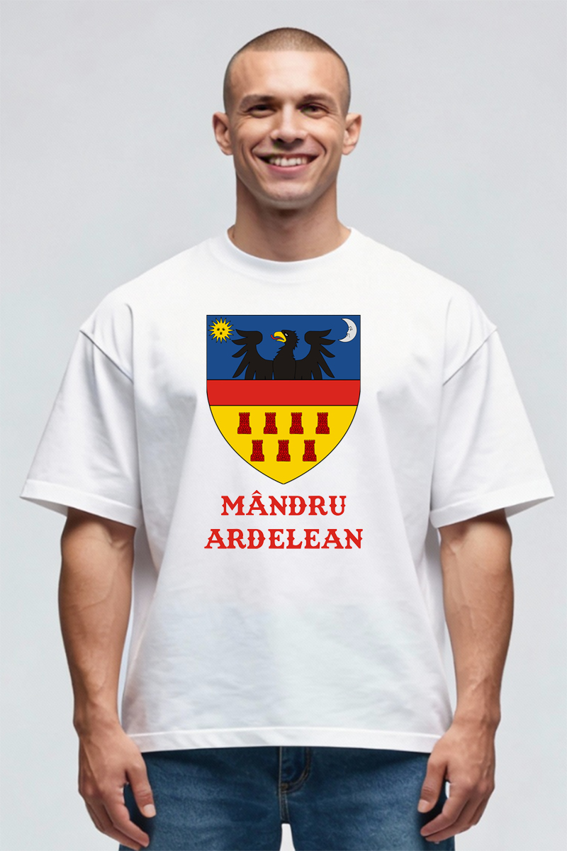 Tricou Oversize - Stema Banatului - imagine 4