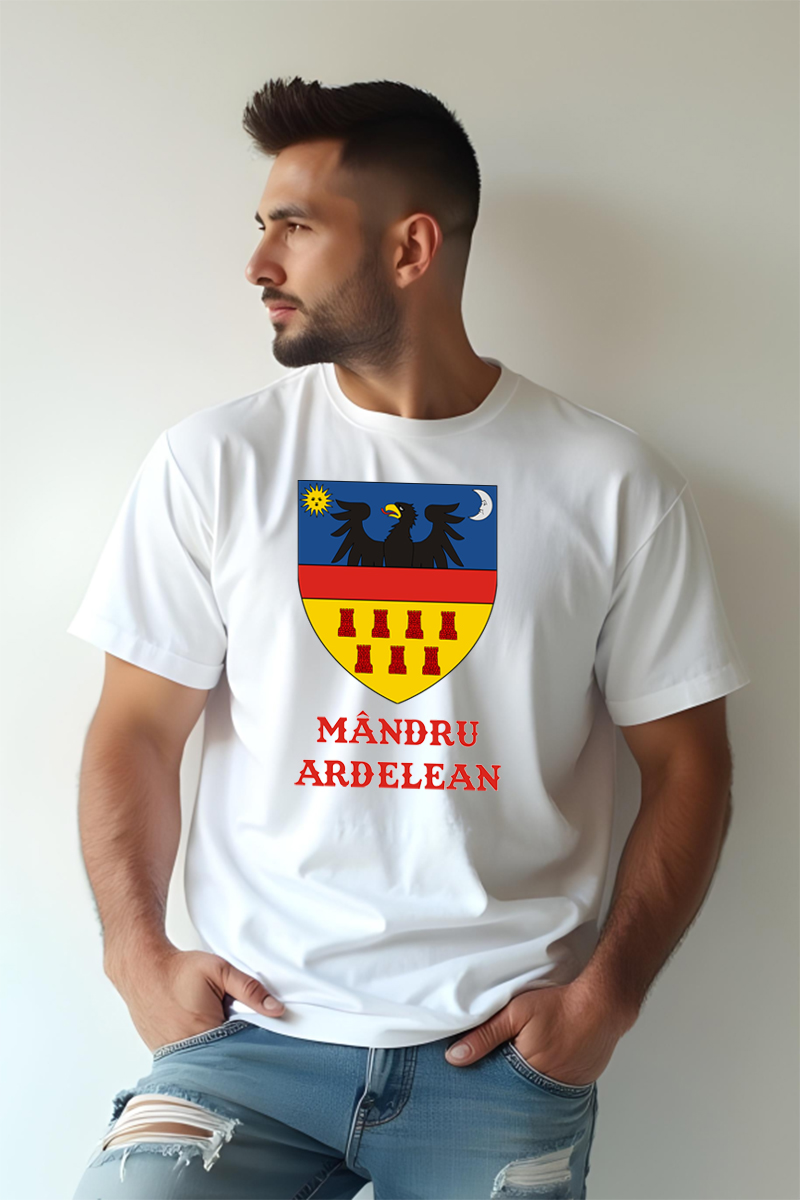 Tricou Oversize - Stema Banatului - imagine 5