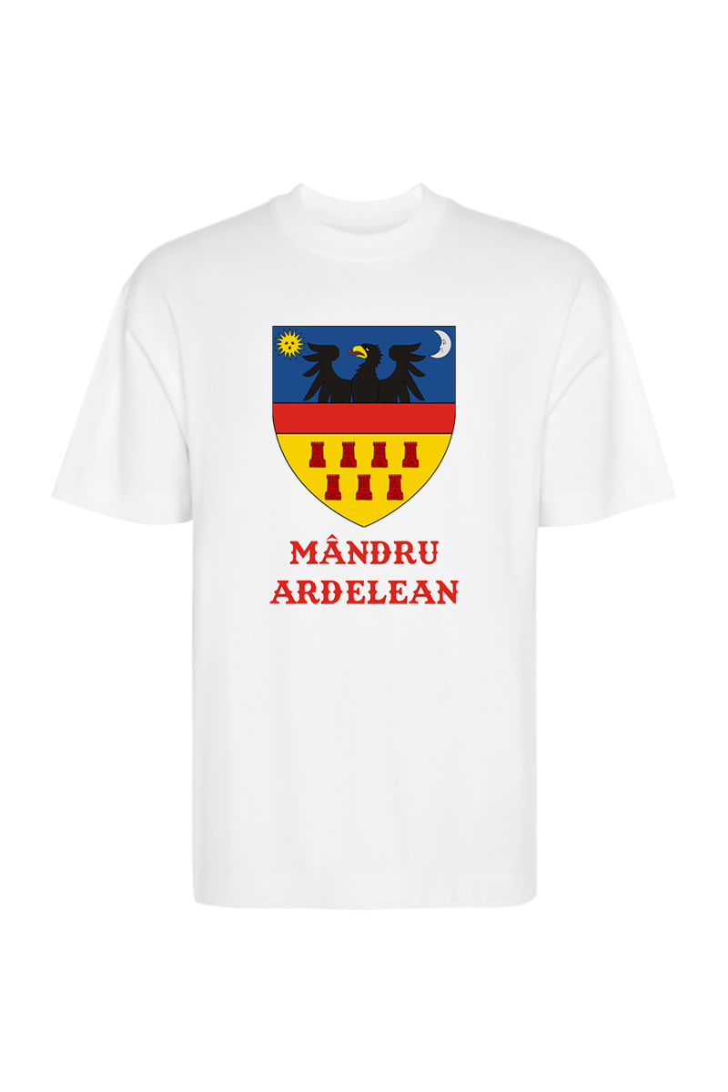 Tricou Oversize - Stema Banatului - imagine 6