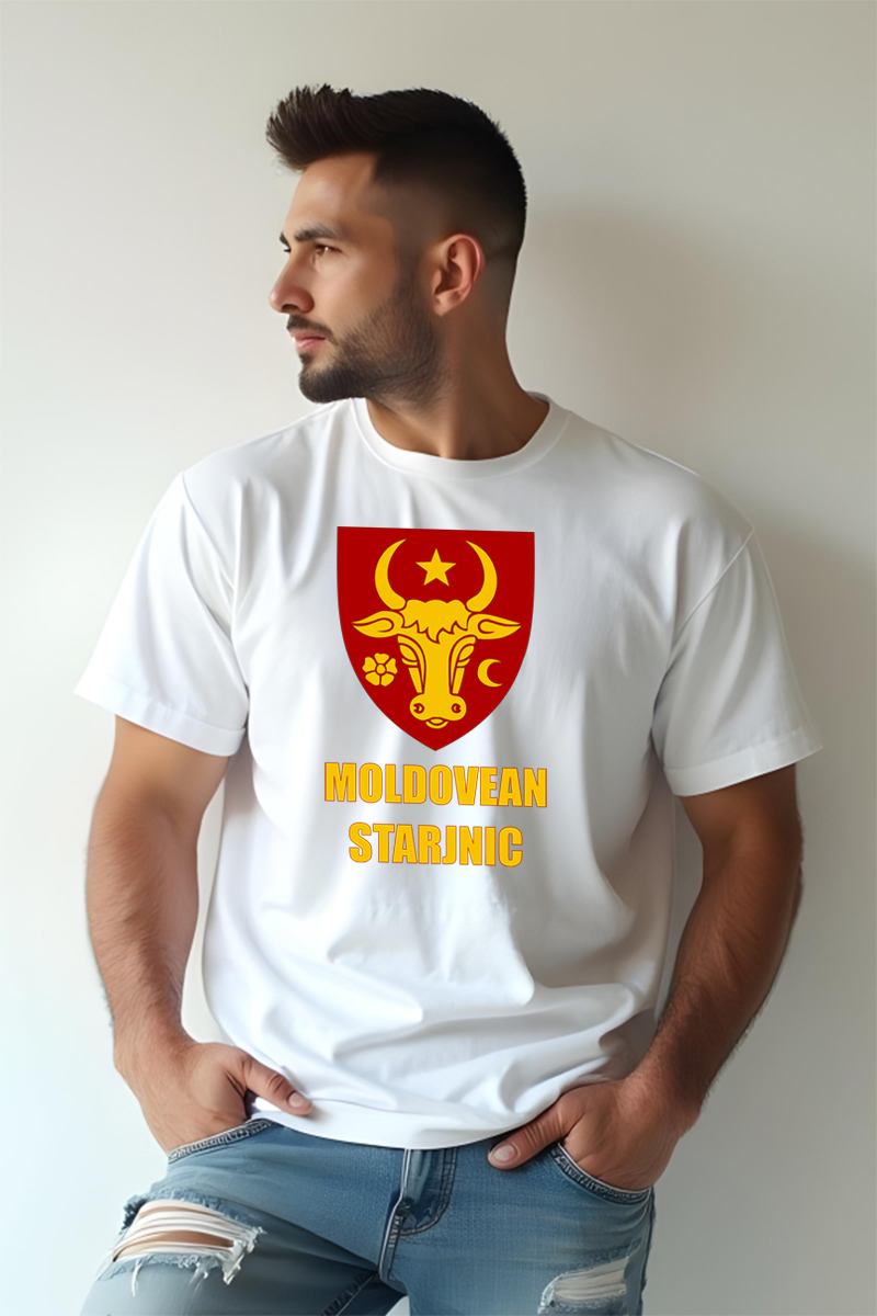 Tricou Oversize - Stema Moldovei - imagine 2