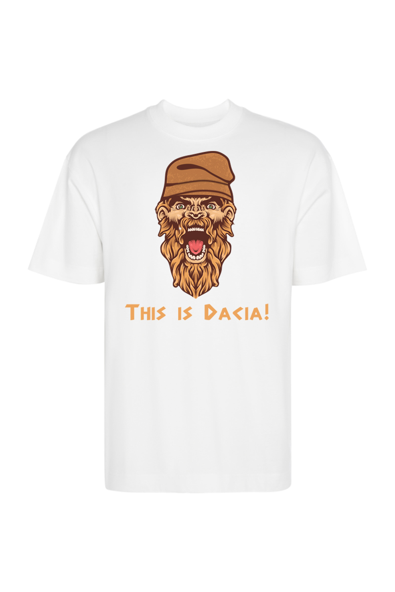 Tricou Oversize - Aro 244 - imagine 15